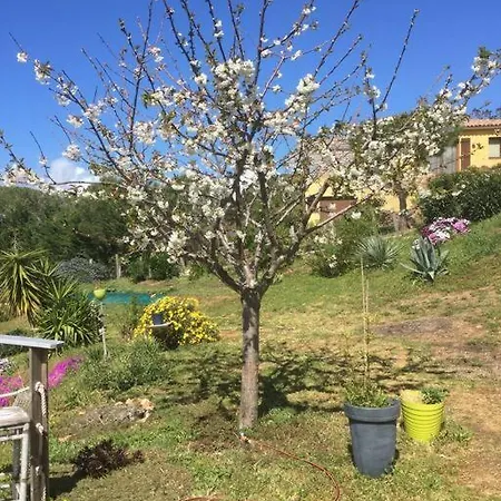 Casa de Férias F3 80m², Vue Sur Mer. Arrivee Possible En Semaine Calcatoggio (Corsica)